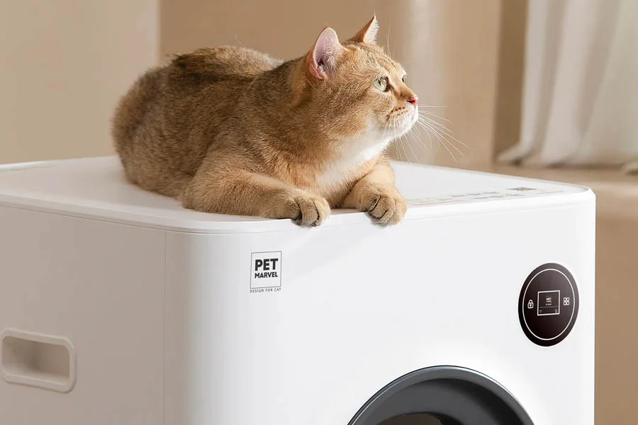 cat litter pan